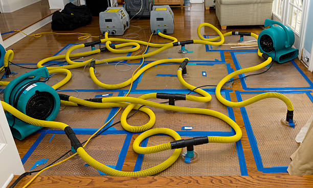 Professional Water Damage Repair technician working in Chouteau, OK